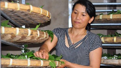 Giao thông tốt giúp người Tây Nguyên phát triển nghề truyền thống