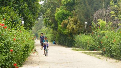 Khang trang những con đường ở làng đồng bào dân tộc vùng núi cao Bình Định