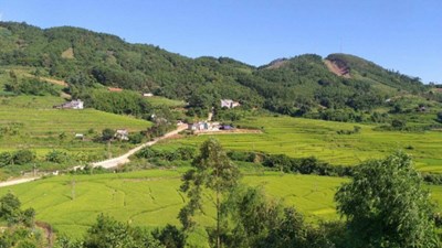 Hớn hở dỡ rào, giao đất mong đổi đời nhờ đường mới