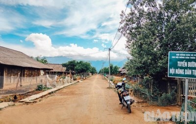 Những con đường "xóa nghèo" của đồng bào Mông ở Yên Bái