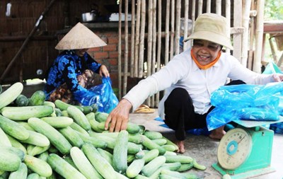 Hiệu quả từ vốn vay, giúp đồng bào Khmer thoát nghèo bền vững