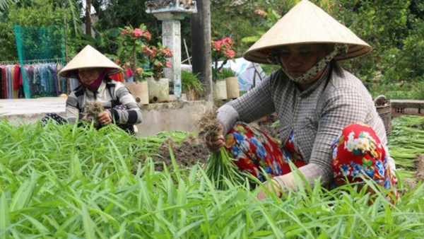 Người Khmer ở Kiên Giang được giúp vốn thoát nghèo